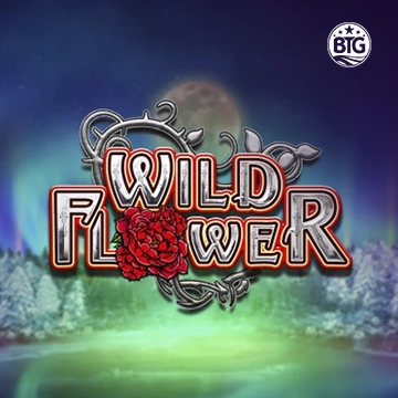 Bigtime : Wild Flower - SPINBET123